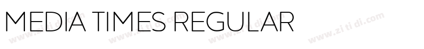 Media Times Regular字体转换